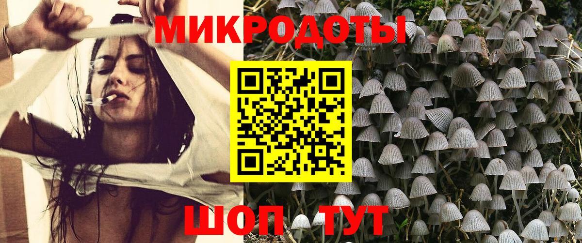 Галлюциногенные грибы прущие грибы Курчалой