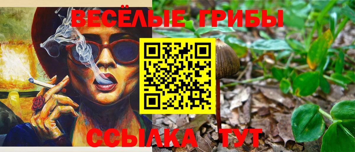 Псилоцибиновые грибы Psilocybe  Галлюциногенные грибы Psilocybe  Курчалой  Вход с VPN 
