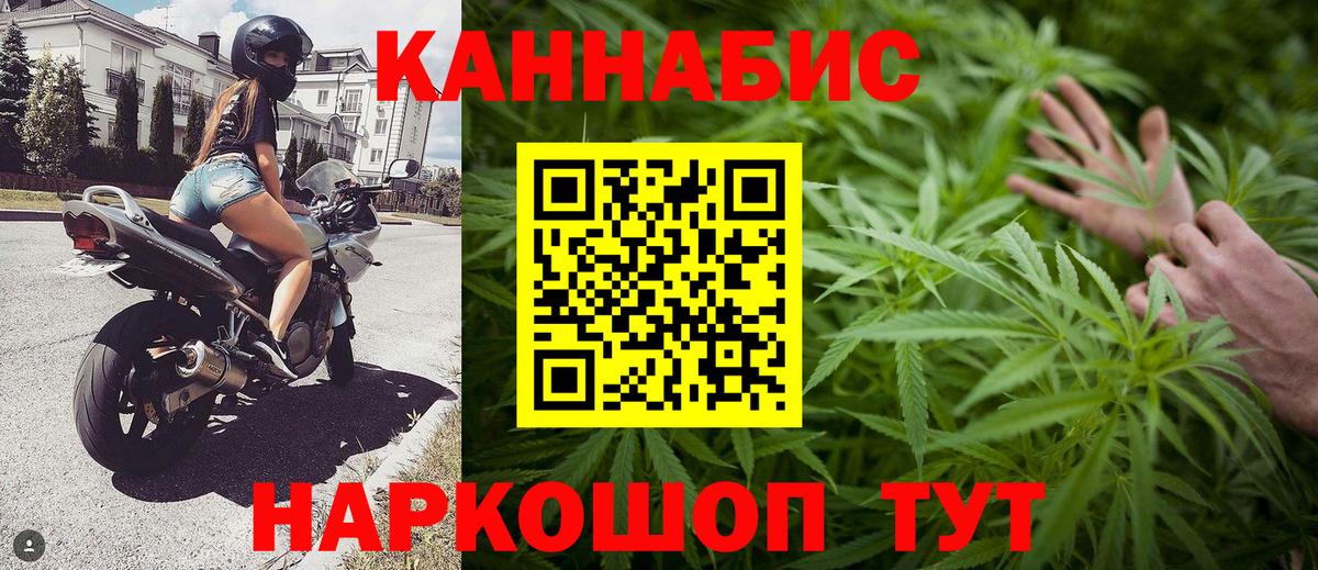 Канабис ГИДРОПОН Курчалой